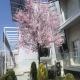 House for Rent on Јоаким Крчовски 55, Centar, Skopje — Modern house near American Embassy — photo 10
